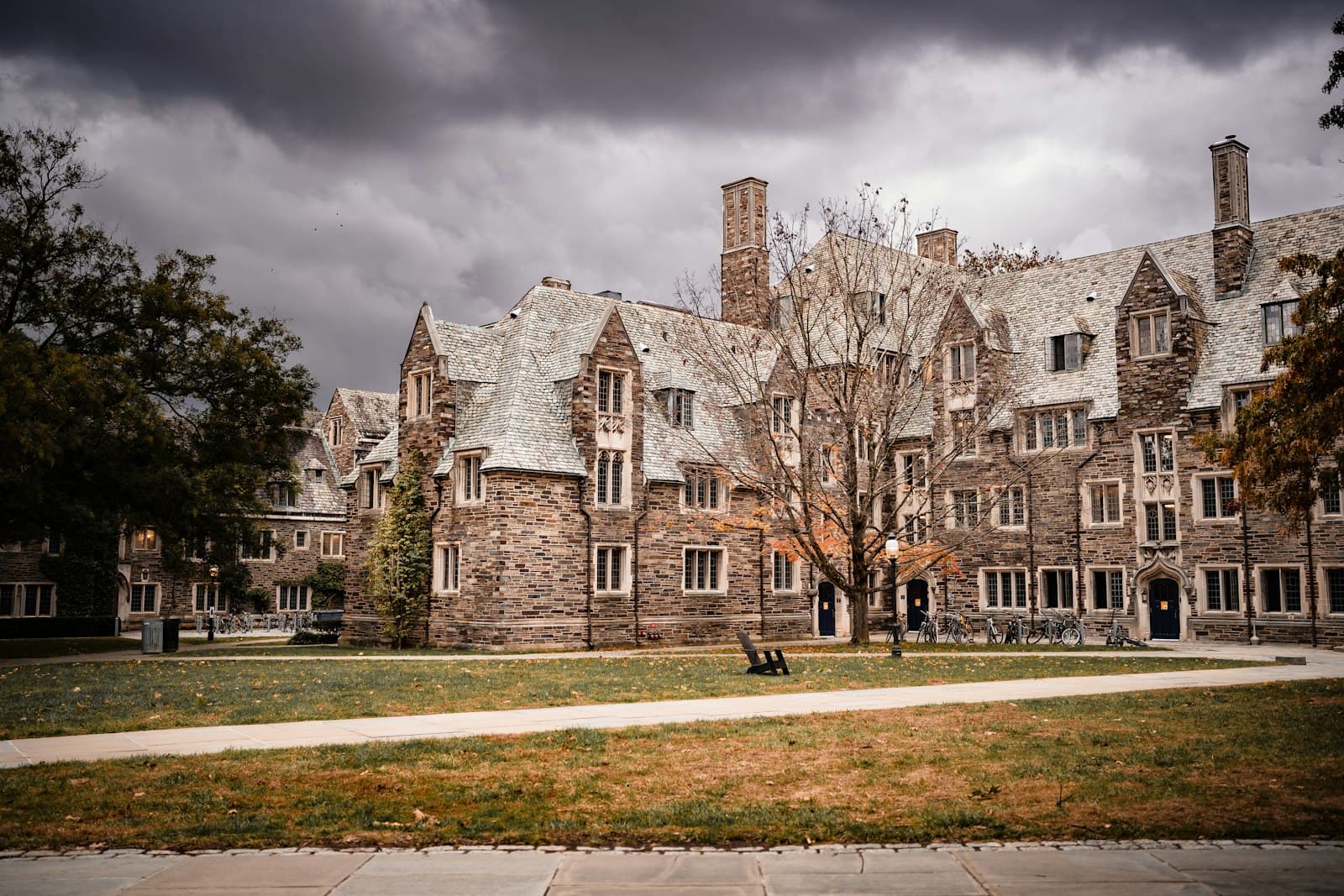 Princeton University